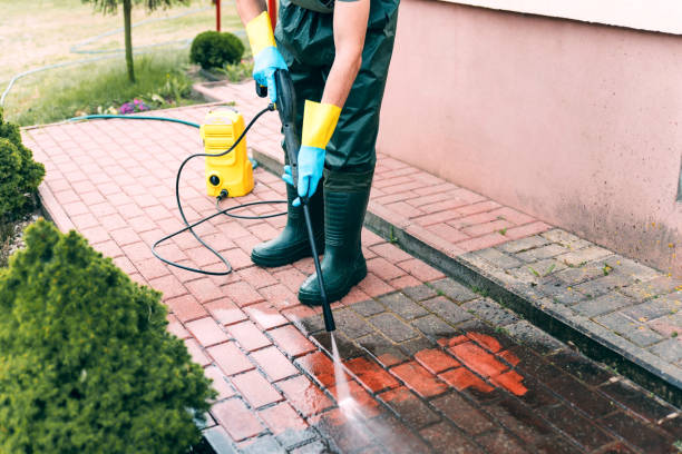Spring Cleaning in Lake Mohegan, NY
